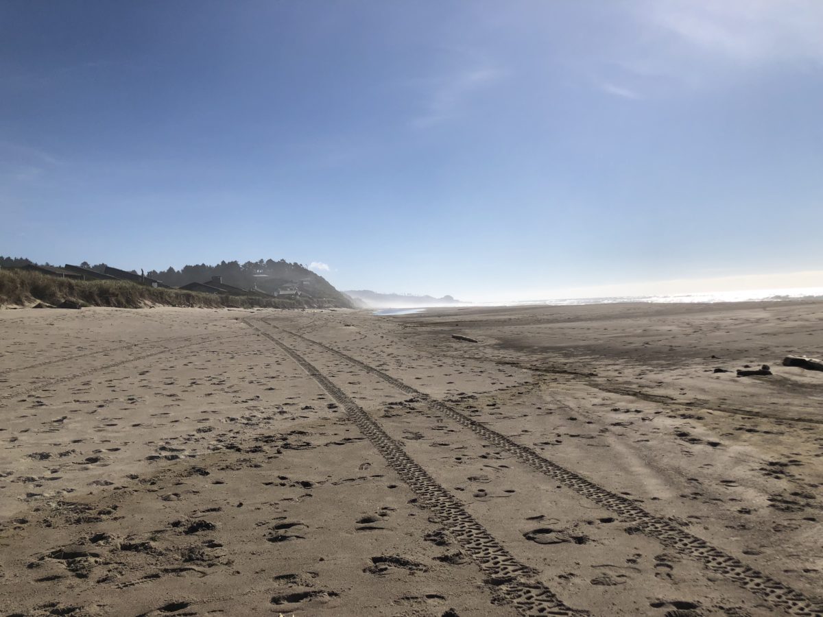 beach scene looking at the sand and dunes in lincoln city or
